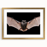 Framed wall art featuring a bat design in a gold frame with a white mat, showcasing intricate details and a modern aesthetic, perfect for wildlife enthusiasts.
