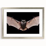 Framed wall art print showcasing a bat design from the "A Wild Life" collection, featuring a silver frame and matting, perfect for animal-themed decor.