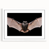 Framed wall art collection showcasing a bat design, featuring a sleek white mat and elegant frame, perfect for enhancing modern home decor with wildlife aesthetics.