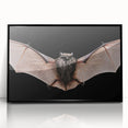 Framed acrylic wall art featuring a striking bat design from the 'Animals of the Wild' collection, showcasing intricate details and a sleek black frame, ideal for modern decor.