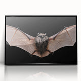 Framed acrylic wall art featuring a striking bat design from the 'Animals of the Wild' collection, showcasing intricate details and a sleek black frame, ideal for modern decor.