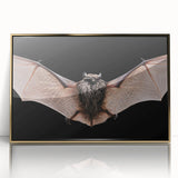 Framed acrylic wall art featuring a contemporary bat design, showcasing intricate details with a striking gold frame, perfect for wildlife enthusiasts and modern decor.