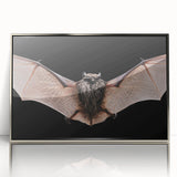 Framed wall art showcasing a striking bat design in silver acrylic, ideal for wildlife enthusiasts and modern home decor, enhancing any space with elegance.
