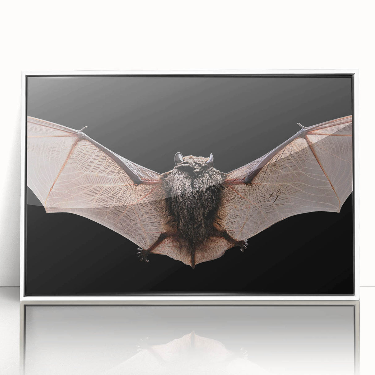 Framed acrylic wall art featuring a detailed bat design, showcasing intricate patterns in earthy tones, presented in a sleek white frame for modern decor.