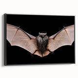 Framed canvas wall art featuring a bat design from the "A Wild Life" collection, showcasing intricate details in black, perfect for animal lovers and home decor enthusiasts.