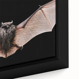 Framed wall art showcasing a detailed close-up of a bat design, featuring intricate textures and vibrant colors, ideal for wildlife enthusiasts and home decor.