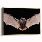 Framed canvas wall art depicting a stylized bat design, showcasing intricate details in gold tones against a textured background, perfect for wildlife enthusiasts and decor lovers alike.