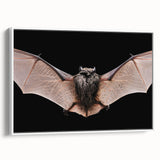 Framed canvas wall art showcasing a vibrant bat design against a white background, ideal for wildlife enthusiasts and modern home decor. Features intricate details and a contemporary aesthetic, perfect for adding a unique touch to any room.
