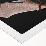 Colorful bat wall art design on rolled canvas, showcasing intricate details and vibrant hues, perfect for wildlife-themed decor. Ideal for nature lovers.