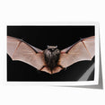 Rolled print showcasing a vibrant bat design from the "Animals A Wild Life" wall art collection, ideal for nature enthusiasts, featuring intricate details and rich colors.