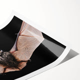 Stylish wall art print featuring a bat design in a wild life theme, showcasing intricate details and vibrant colors, perfect for nature lovers and home decor enthusiasts.