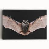 Stretched canvas wall art featuring a detailed bat design, showcasing intricate patterns and vibrant colors, ideal for wildlife enthusiasts and home decor.