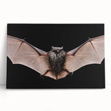 Stylish stretched canvas wall art featuring a whimsical bat design, showcasing rich colors and intricate details, perfect for adding a unique touch to home decor.