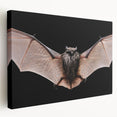 Stretched canvas wall art featuring a colorful bat design from a wildlife collection, showcasing intricate details and vibrant hues, ideal for animal lovers' decor.