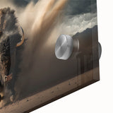 Close-up of a stunning acrylic wall art piece featuring a wild buffalo, showcasing intricate details and vibrant colors, ideal for animal lovers and home decor enthusiasts.