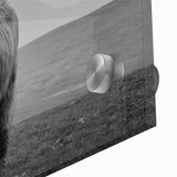 Close-up of a stunning acrylic glass wall art piece depicting a majestic buffalo in a wild landscape, showcasing rich textures and vibrant colors, perfect for nature enthusiasts.