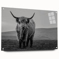 Acrylic wall art featuring a side view of a majestic buffalo, showcasing intricate design details and vibrant colors, perfect for wildlife enthusiasts and home decor.