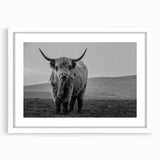 Framed wall art showcasing a striking bison design, featuring a white mat and sleek frame, perfect for wildlife enthusiasts and home decor. Ideal for adding a touch of nature-inspired elegance to any room.