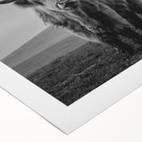 Buffalo wall art design on rolled canvas showcasing a detailed illustration of a bison in a natural habitat, perfect for wildlife enthusiasts and home decor.