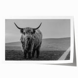 Buffalo wildlife wall art print showcasing a majestic bison design with intricate details, featuring earthy tones and textures, perfect for enhancing home decor.