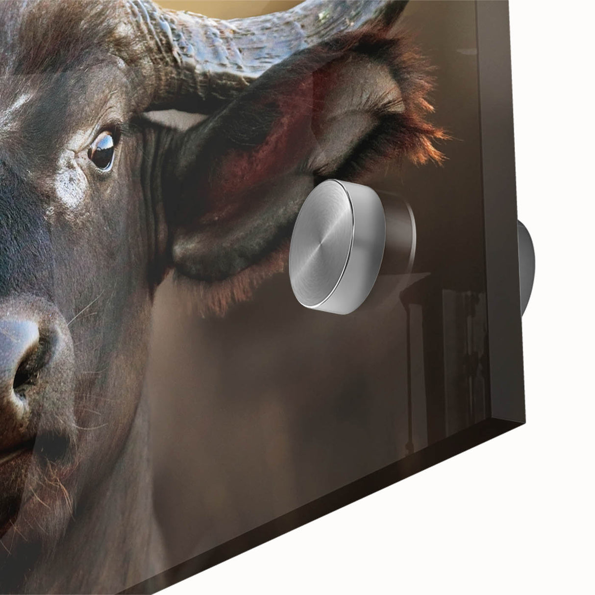 Close-up view of a striking buffalo wall art piece featuring intricate details and vibrant colors, designed for wildlife enthusiasts, showcasing nature's beauty in acrylic glass.