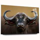 Close-up of a stunning buffalo wall art piece showcasing intricate bison design on acrylic glass, perfect for wildlife enthusiasts and modern decor.