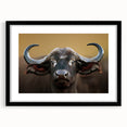Framed wall art featuring a detailed black-and-white illustration of a buffalo, part of the Wildlife Bison design collection, showcasing elegant matting and a sleek black frame.