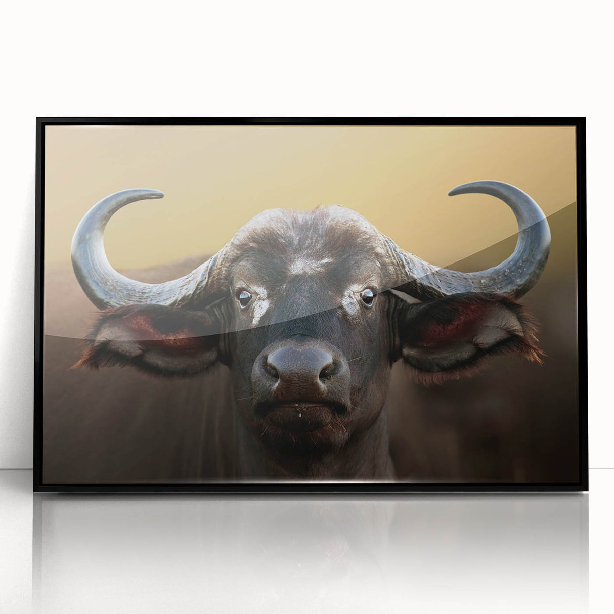 Framed wall art featuring a striking design of a buffalo, showcasing rich black and white colors, ideal for wildlife enthusiasts and modern decor.