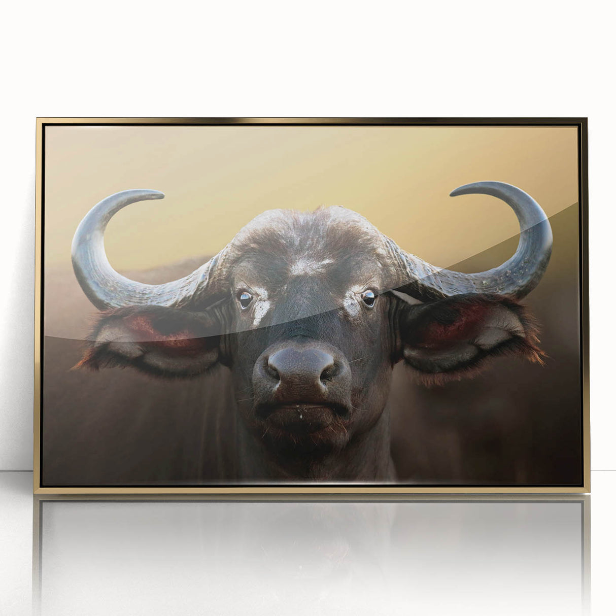 Framed wall art featuring a detailed acrylic design of a wild buffalo, showcasing its majestic front view against a gold background, perfect for animal lovers and home decor enthusiasts.