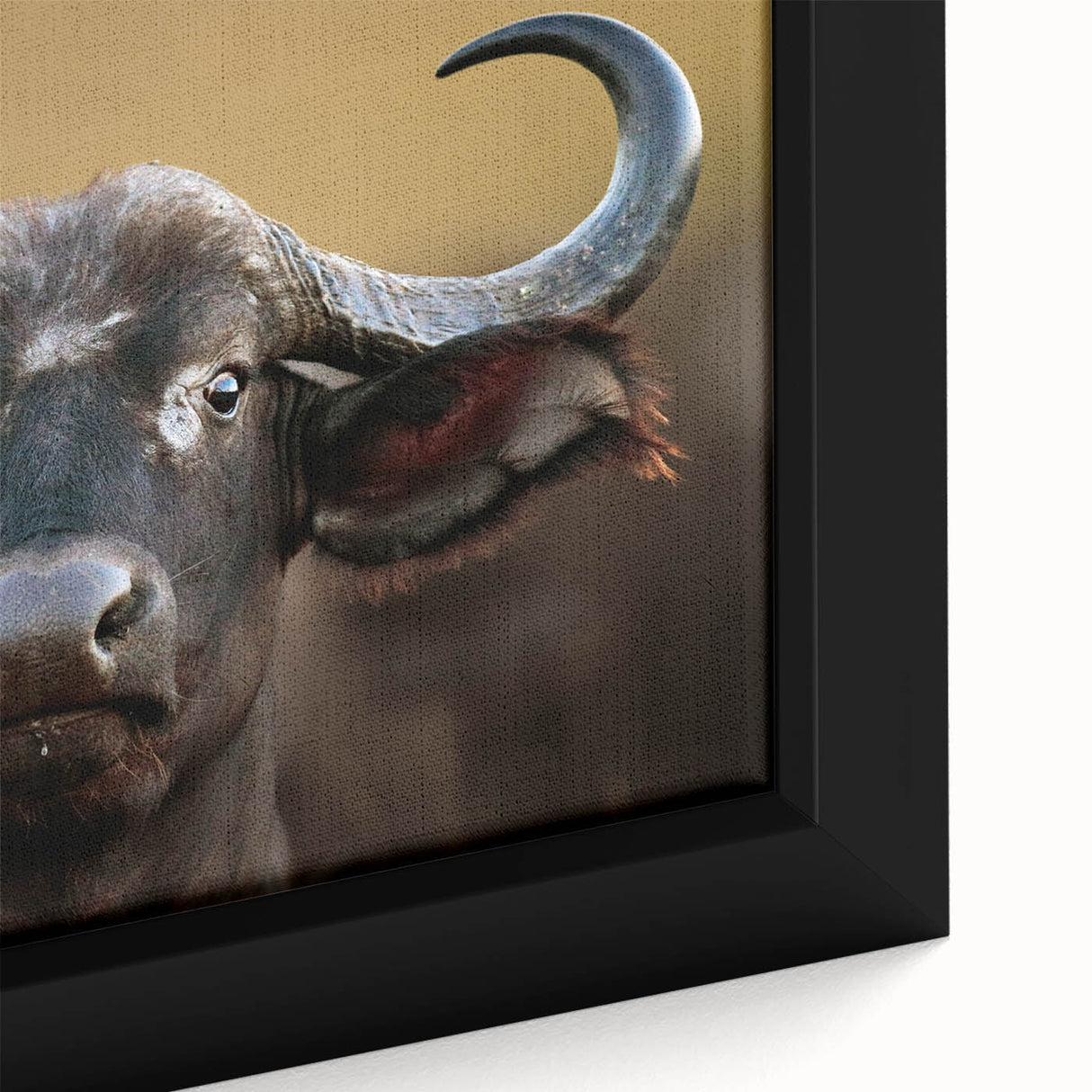 Close-up view of a framed canvas wall art featuring a majestic buffalo, showcasing intricate details and vibrant colors, ideal for wildlife enthusiasts and home decor.