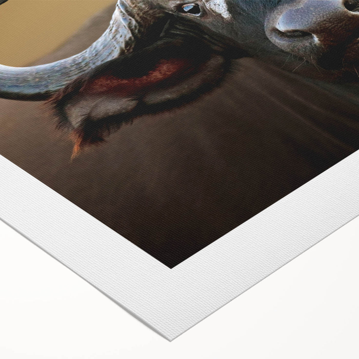 Rolled canvas wall art showcasing a detailed illustration of a buffalo in a natural setting, emphasizing vibrant colors and intricate textures, ideal for wildlife enthusiasts.