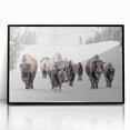 Framed wall art showcasing a striking black and white buffalo design, set in an acrylic frame. Perfect for wildlife enthusiasts and modern decor.
