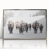 Framed wall art showcasing a detailed silver-acrylic design of a buffalo, part of the 'A Wild Life' collection, perfect for animal lovers and home decor enthusiasts.