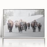 Framed wall art piece showcasing a majestic buffalo design from the "A Wild Life" collection, featuring a white frame and acrylic front, perfect for nature enthusiasts.