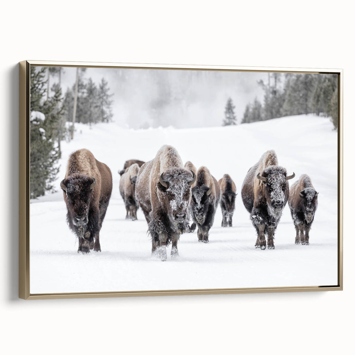 Framed canvas wall art depicting a majestic buffalo in a natural landscape, featuring rich gold accents and detailed textures, perfect for wildlife enthusiasts.