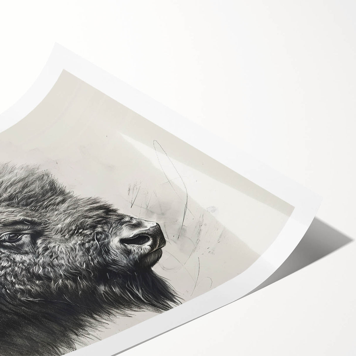 Buffalo wall art print showcasing a beautifully illustrated bison against a natural landscape, perfect for wildlife enthusiasts and home decor. Ideal for adding a rustic touch to any space, this rolled artwork is designed to enhance interior aesthetics with its vibrant colors and intricate details.