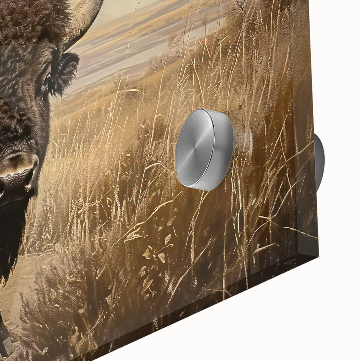 Close-up of a vibrant acrylic glass wall art featuring a majestic buffalo, showcasing intricate details and rich colors, ideal for wildlife enthusiasts and home decor.