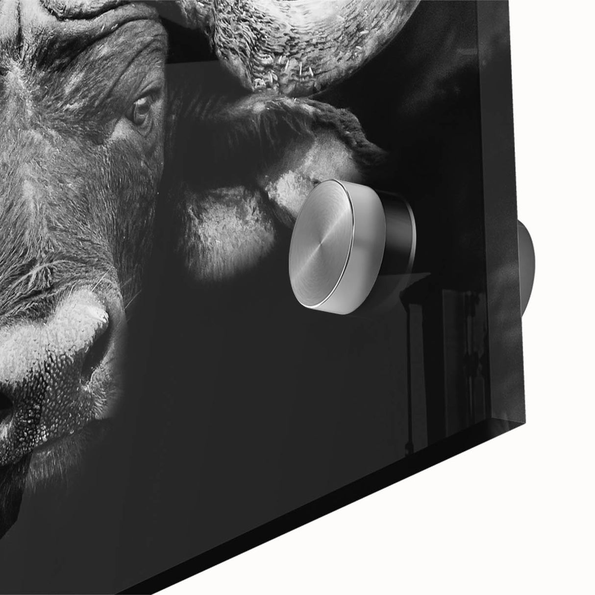 Close-up of a striking acrylic wall art piece featuring a detailed buffalo design, showcasing rich textures and vibrant colors, ideal for wildlife enthusiasts and home decor.