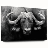 Side view of a buffalo wall art design in an acrylic glass frame, showcasing intricate details and vibrant colors in a wildlife-themed decor collection. Ideal for animal lovers and nature enthusiasts, this piece enhances any living space with its striking presence.