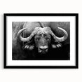 Framed wall art featuring a majestic buffalo design in a minimalist black frame, complete with a white mat, perfect for nature-themed decor or wildlife enthusiasts.