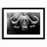 Framed wall art featuring a majestic buffalo design in a minimalist black frame, complete with a white mat, perfect for nature-themed decor or wildlife enthusiasts.