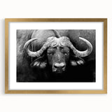 Buffalo wall art featuring a stunning bison design in a gold frame with a mat, perfect for adding a touch of wildlife elegance to any decor. Ideal for nature enthusiasts.