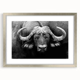 Framed wall art featuring a majestic buffalo design, elegantly showcased with a silver frame and mat. This wildlife-inspired decor adds a touch of nature to any space.