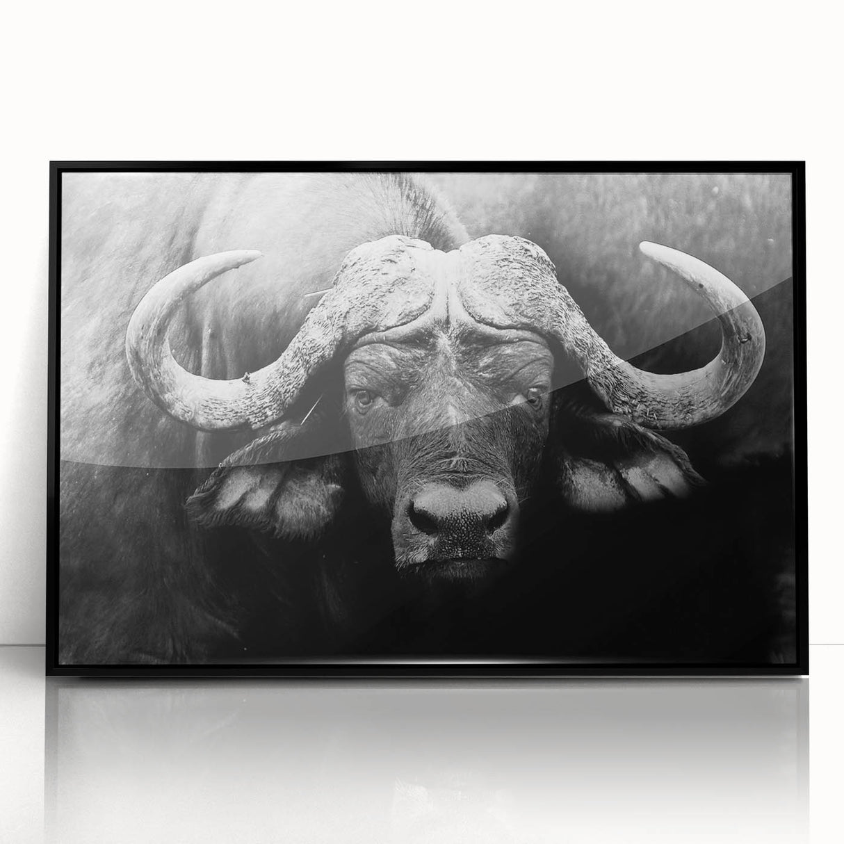 Framed acrylic wall art featuring a striking black bison design, showcasing detailed textures and bold colors, perfect for wildlife enthusiasts and modern decor.