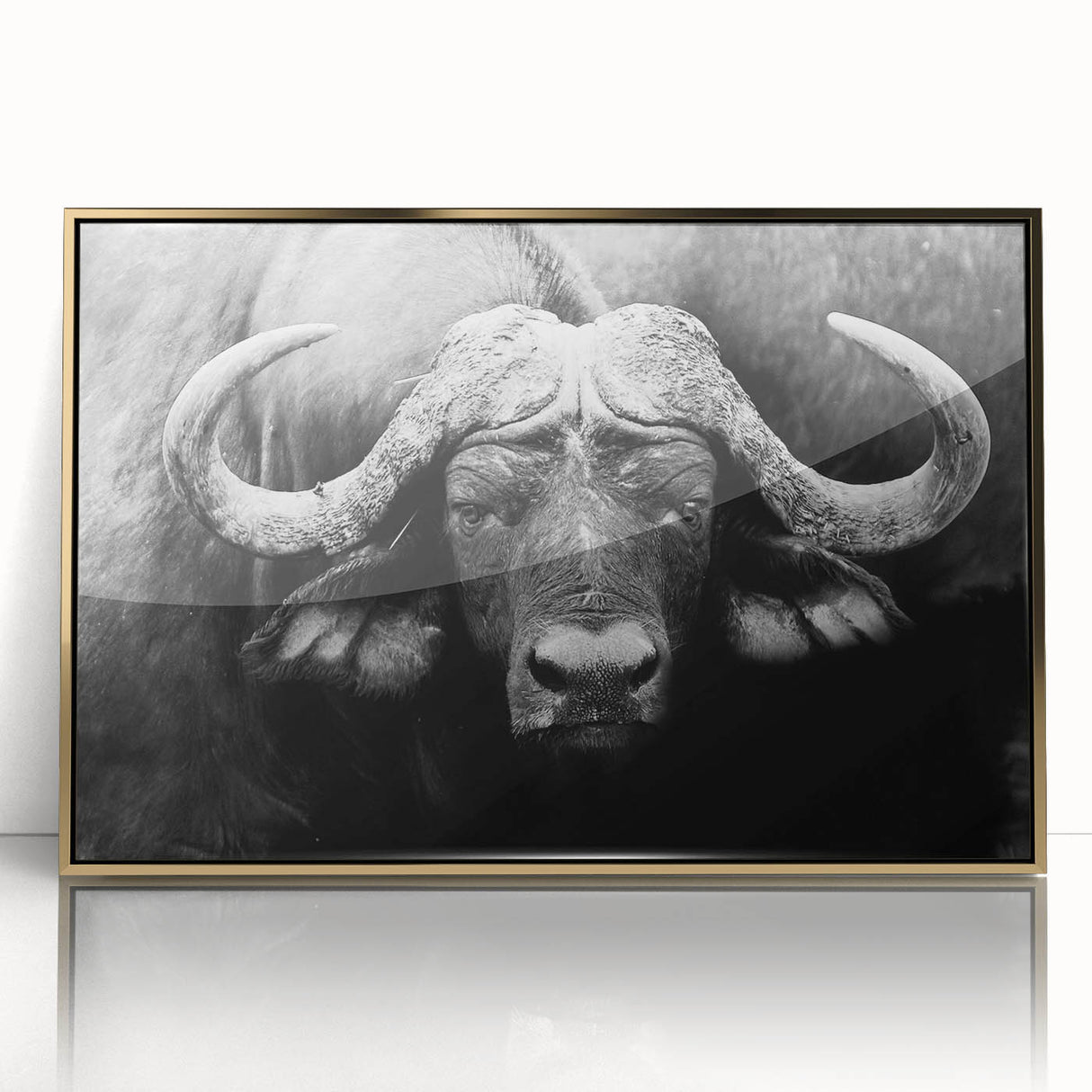 Framed wall art featuring a striking golden-accented buffalo design, showcasing intricate details and vibrant colors, perfect for wildlife enthusiasts and modern decor.