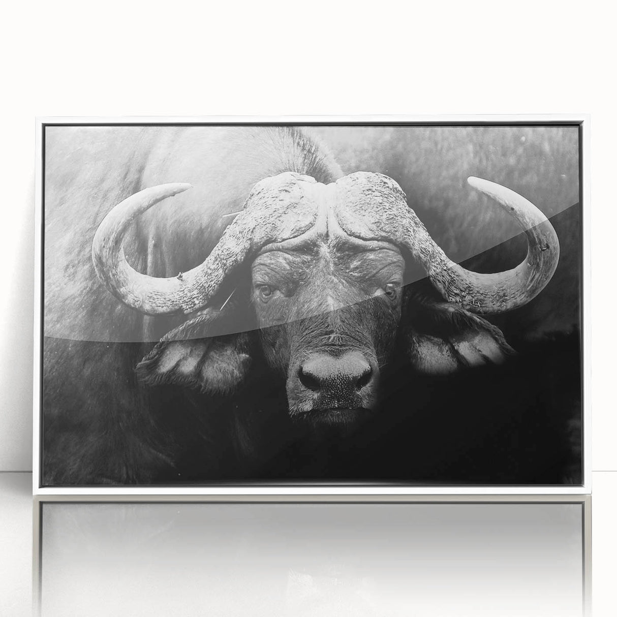 Framed acrylic wall art featuring a detailed design of a buffalo, showcasing vibrant colors and intricate textures, perfect for wildlife enthusiasts and home decor.