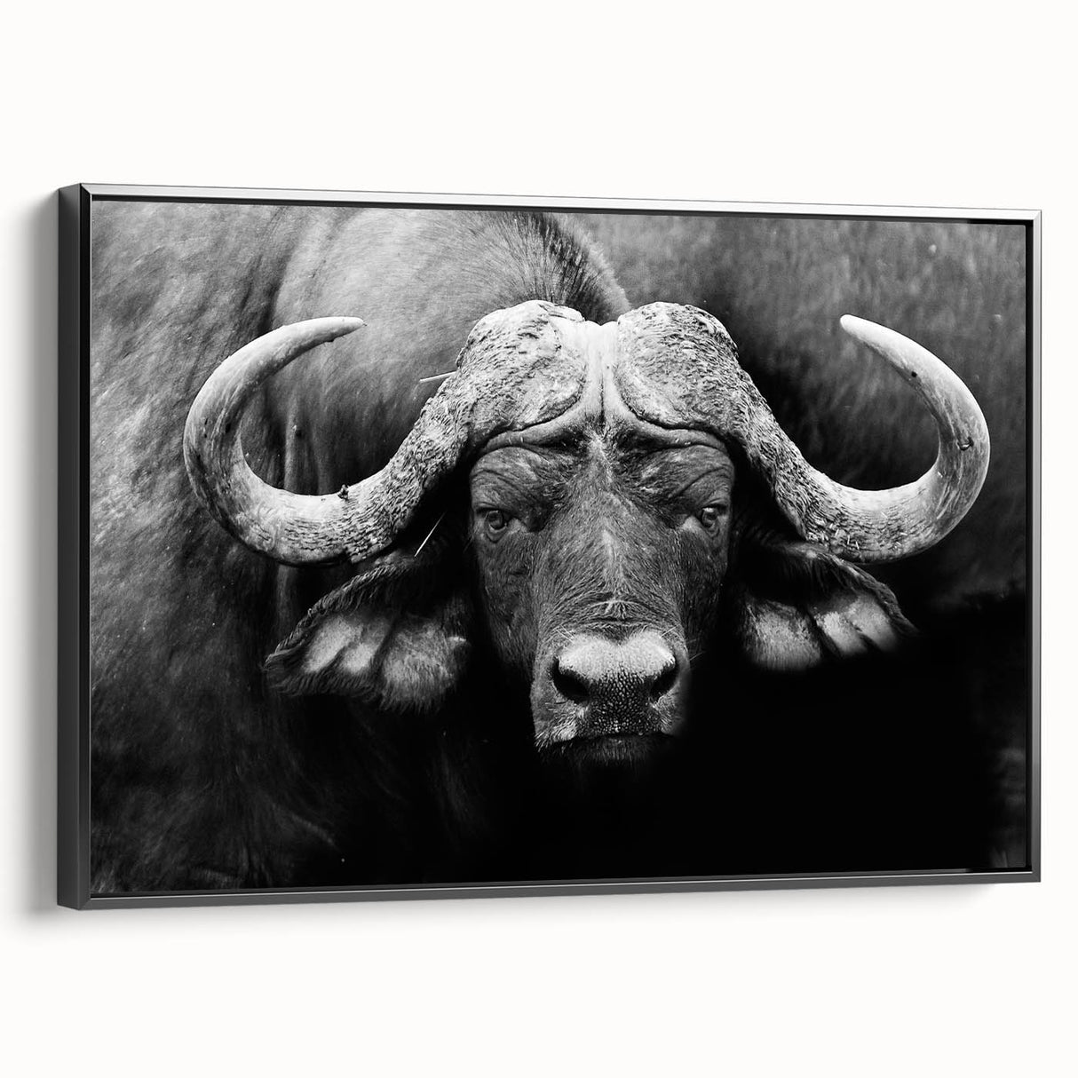 Framed canvas wall art featuring a striking side view of a buffalo, showcasing intricate details and textures in black and white. Ideal for wildlife enthusiasts and home decor.