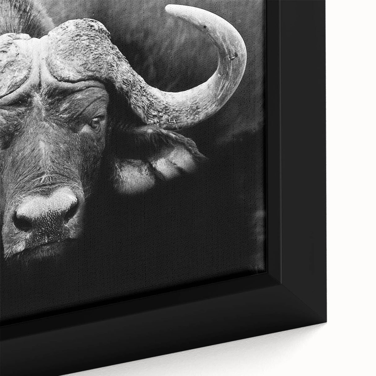 Close-up of a framed canvas wall art featuring a majestic buffalo in a natural setting, showcasing its intricate details and rich textures, perfect for wildlife enthusiasts.