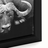 Close-up of a framed canvas wall art featuring a majestic buffalo in a natural setting, showcasing its intricate details and rich textures, perfect for wildlife enthusiasts.