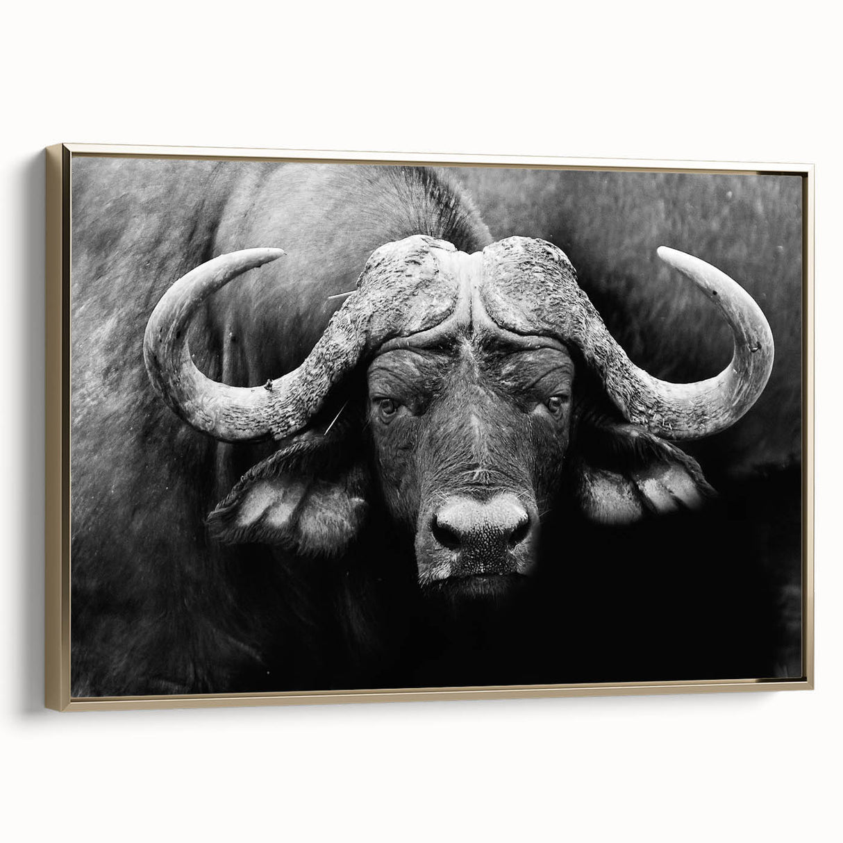 Framed wall art featuring a stunning side view of a bison in a wild landscape, showcasing rich textures and warm gold accents, perfect for animal lovers and home decor enthusiasts.